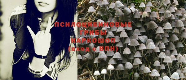 круглые Алзамай