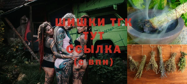 ешки Алексин