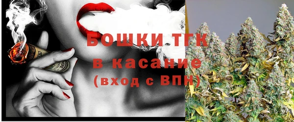 гидра Рославль