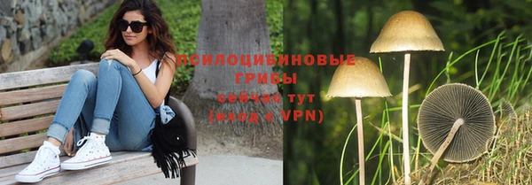 СК Алексеевка