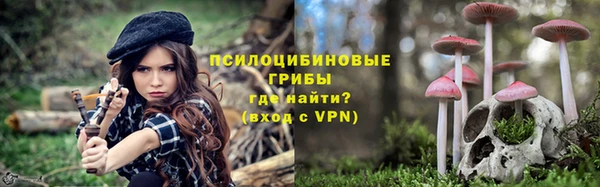 ешки Алексин